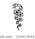 Black and white illustration of a venomous writhing snake vertical, symbolizing danger, crime 120417644