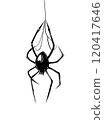 Black widow spider with a heart on its abdomen, criminal tattoo 120417646