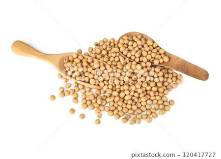 soybeans in wooden spoon isolated on white background soybeans in wooden spoon isolated on white background 120417727
