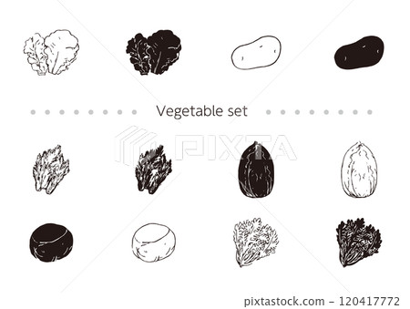 Line drawing silhouette vegetable hand drawn icon illustration_potato, chrysanthemum, Chinese cabbage, cabbage, lettuce, mizuna_white background 120417772
