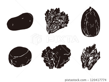 Silhouette vegetable hand-drawn illustrations_potato, chrysanthemum, Chinese cabbage, cabbage, lettuce, mizuna_white background 120417774