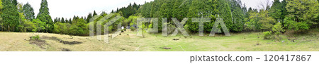 Springtime Tanzawa Mountain Range Trail: Panorama of the fresh greenery of Mt. Kirigara and the Kirigara Shelter Plaza 120417867