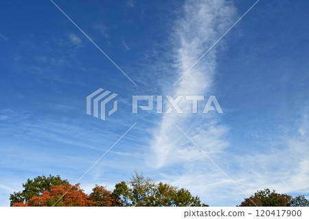 Cirrus clouds in the late autumn sky 120417900