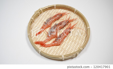 Fresh shrimp on a colander 120417901