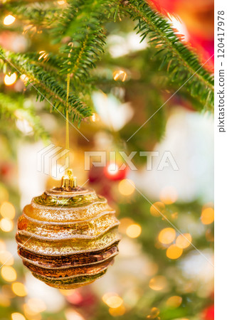 Christmas/winter image 120417978