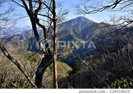 從多志山地塊的日向峰森林眺望。 從多志山地塊的日向峰森林眺望。 120418020
