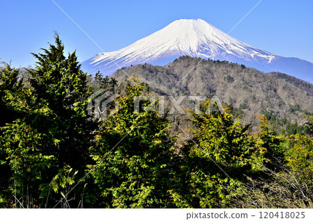 從道志山奧野岳輸電塔眺望富士山 從道志山奧野岳輸電塔眺望富士山 120418025