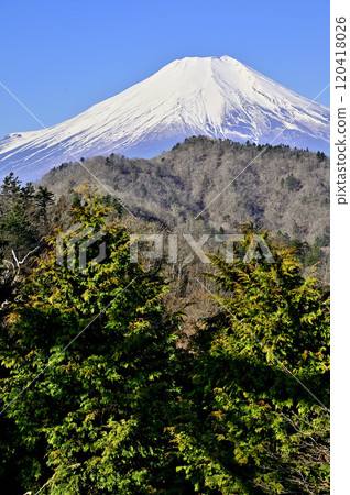 從道志山奧野岳輸電塔眺望富士山 從道志山奧野岳輸電塔眺望富士山 120418026