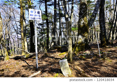 道志地塊五佐山南脊森林中之嶽山頂 120418034