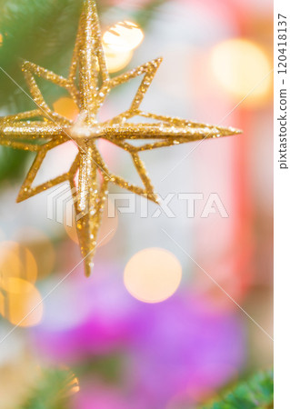 Christmas/winter image 120418137