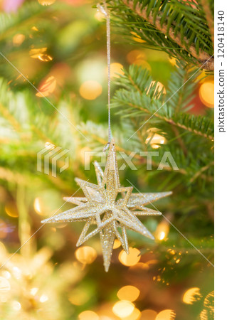 聖誕/冬季形象 120418140