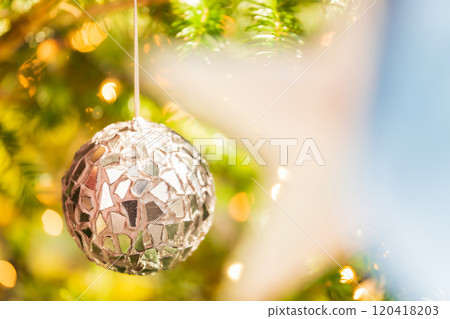 Christmas/winter image 120418203