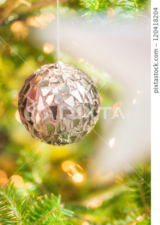 聖誕/冬季形象 120418204