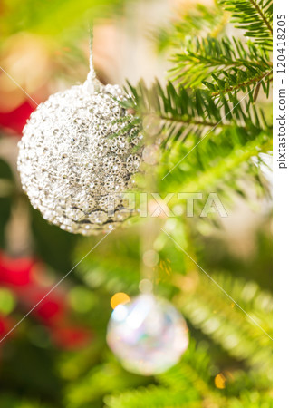 聖誕/冬季形象 120418205