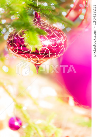 Christmas/winter image 120418213