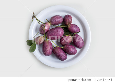 Autumn fruit mube 120418261