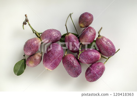 Autumn taste, natural sweetness, Ikuko 120418363