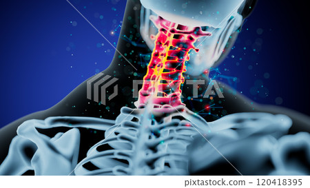 Vibrant Cervical Vertebrae: A Stunning Glow on Human Spine Anatomy 120418395