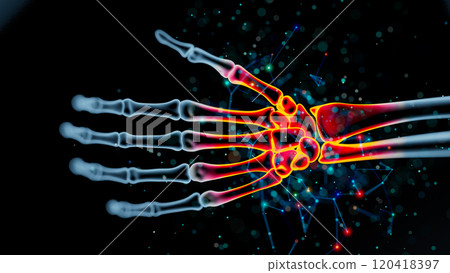 Luminescent Hand Skeleton: A Glowing Exploration of Bones and Joints Luminescent Hand Skeleton: A Glowing Exploration of Bones and Joints 120418397
