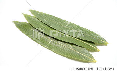 Bamboo leaf  120418563