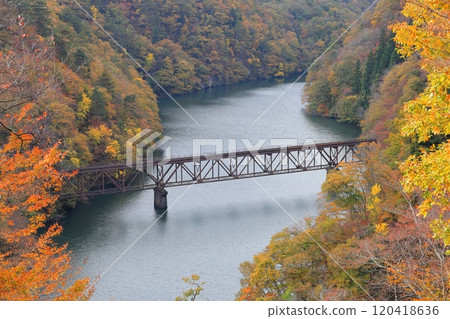 Autumn leaves on the Tadami Line, Third Tadami River Bridge, Mishima Town, Onuma District, Fukushima Prefecture Autumn leaves on the Tadami Line, Third Tadami River Bridge, Mishima Town, Onuma District, Fukushima Prefecture 120418636