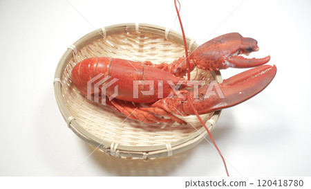 Fresh boiled lobster Fresh boiled lobster 120418780