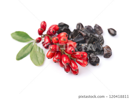 Barberry berries with dry barberry on white backgrounds 120418811