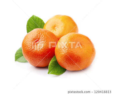 mandarine fruits with leaves on white backgrounds 120418813