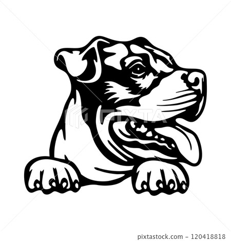 American Pit Bull Dog - Peeking Dog Breed - Pet Dog Vector Portrait, Dog Silhouette Stencil American Pit Bull Dog - Peeking Dog Breed - Pet Dog Vector Portrait, Dog Silhouette Stencil 120418818