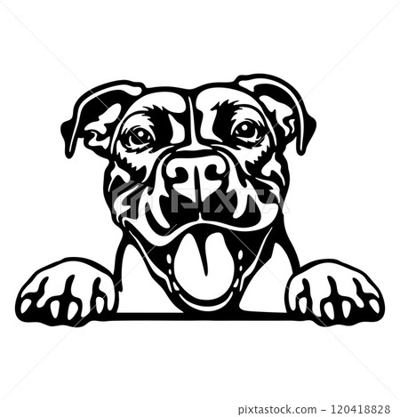 American Pit Bull Dog - Peeking Dog Breed - Pet Dog Vector Portrait, Dog Silhouette Stencil 120418828