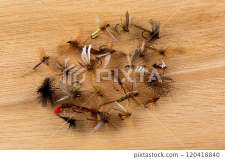 A Selection of Trout Fishing Dry Flies on a Wooden Table Top 120418840