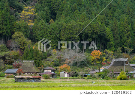美山茅草村的秋景 120419162