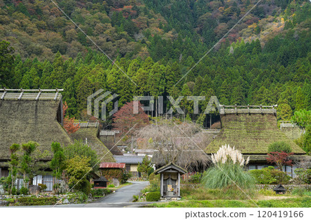 美山茅草村的秋景 美山茅草村的秋景 120419166