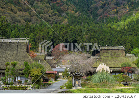 美山茅草村的秋景 美山茅草村的秋景 120419167