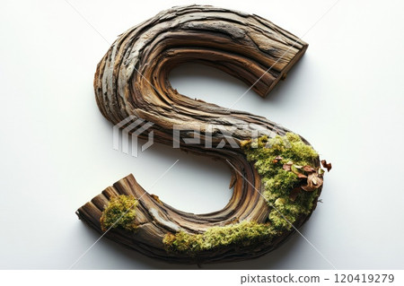Bold rustic wooden capital letter S, aged oak wood, moss growing in crevices, white background 120419279