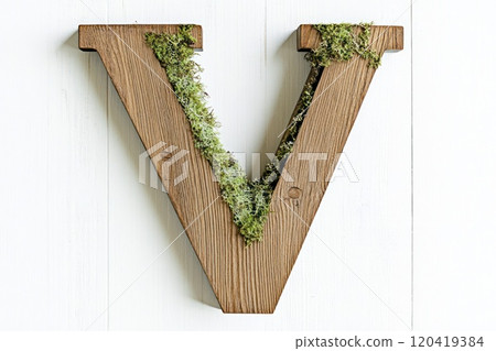 Bold rustic wooden capital letter V, aged oak wood, moss growing in crevices, white background 120419384
