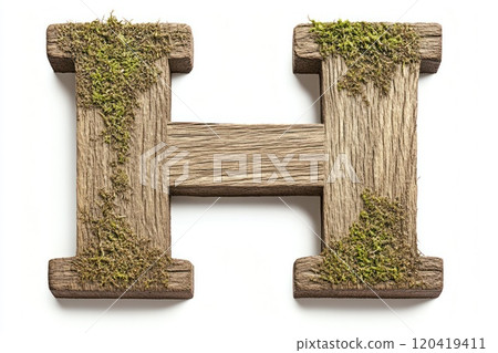 Bold rustic wooden capital letter H, aged oak wood, moss growing in crevices, white background 120419411