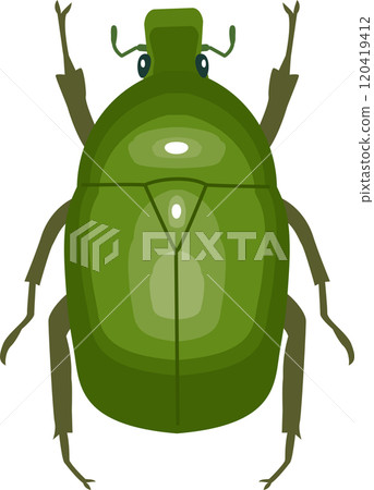 Illustration of a canabun seen from directly above Illustration of a canabun seen from directly above 120419412