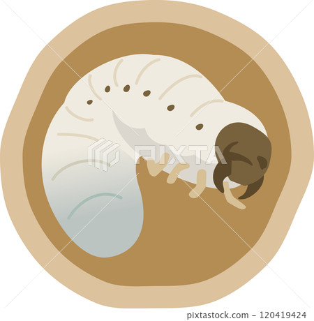 Illustration of a larva in the soil Illustration of a larva in the soil 120419424