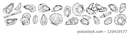 Oyster shell doodle set, ink hand drawn delicious seafood vector illustration, mussel vintage sign.  120419577