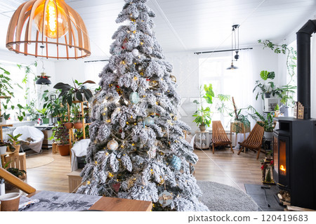 Festive Christmas decor in living room in a green house in the loft style with a retro wooden lampshade with a snowy Christmas tree and fairy lights. New Year, Christmas mood, cozy home. Festive Christmas decor in living room in a green house in the loft style with a retro wooden lampshade with a snowy Christmas tree and fairy lights. New Year, Christmas mood, cozy home. 120419683