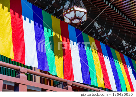 Five-colored curtain at the Buddhist temple, Chishaku-in, Kyoto 120420030