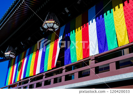 京都市智積院五色帷幕 京都市智積院五色帷幕 120420033