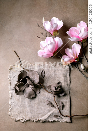 Creating Clay Flower: DIY ceramic Workshop Idea. Petals, buds, leaves of crafting magnolia flower from dark clay on branch. Dark textured background, blooming magnolia. Top view. Creating Clay Flower: DIY ceramic Workshop Idea. Petals, buds, leaves of crafting magnolia flower from dark clay on branch. Dark textured background, blooming magnolia. Top view. 120420096