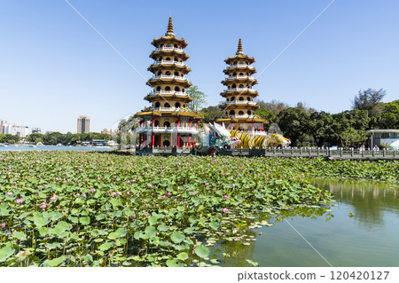 View of the lotus in bloom at the Dragon and Tiger Pagoda in Lotus Pond, Kaohsiung, Taiwan. View of the lotus in bloom at the Dragon and Tiger Pagoda in Lotus Pond, Kaohsiung, Taiwan. 120420127