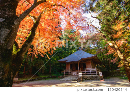 岩手縣世界遺產中尊寺的清晨,佛經染成秋色 岩手縣世界遺產中尊寺的清晨,佛經染成秋色 120420344