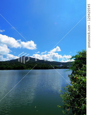 Nagasawa Pond (Yamaguchi City, Yamaguchi Prefecture) 120420545