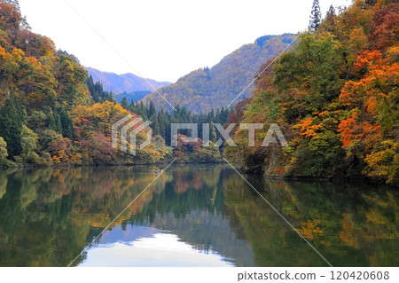Mugenkyo Ferry on the Tadami River / Kanayama Town, Onuma District, Fukushima Prefecture 120420608
