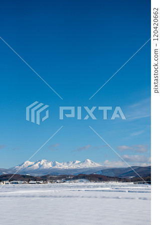 Snowy mountains and snow-covered rice fields on a sunny winter day 120420662