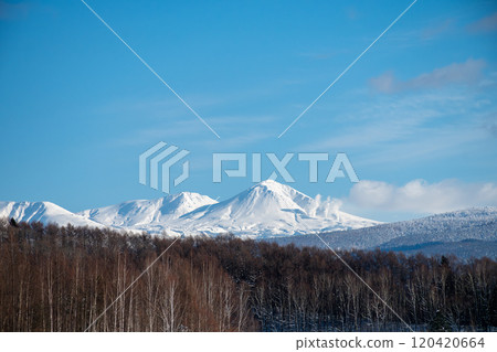 A forest and snowy mountains on a clear winter day, Mt. Daisetsu A forest and snowy mountains on a clear winter day, Mt. Daisetsu 120420664